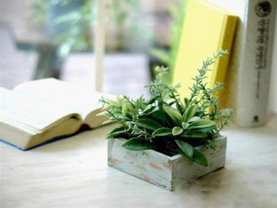 【好文轉(zhuǎn)載】小學(xué)的重點(diǎn)在于閱讀！（強(qiáng)烈建議老師轉(zhuǎn)給家長(zhǎng)）