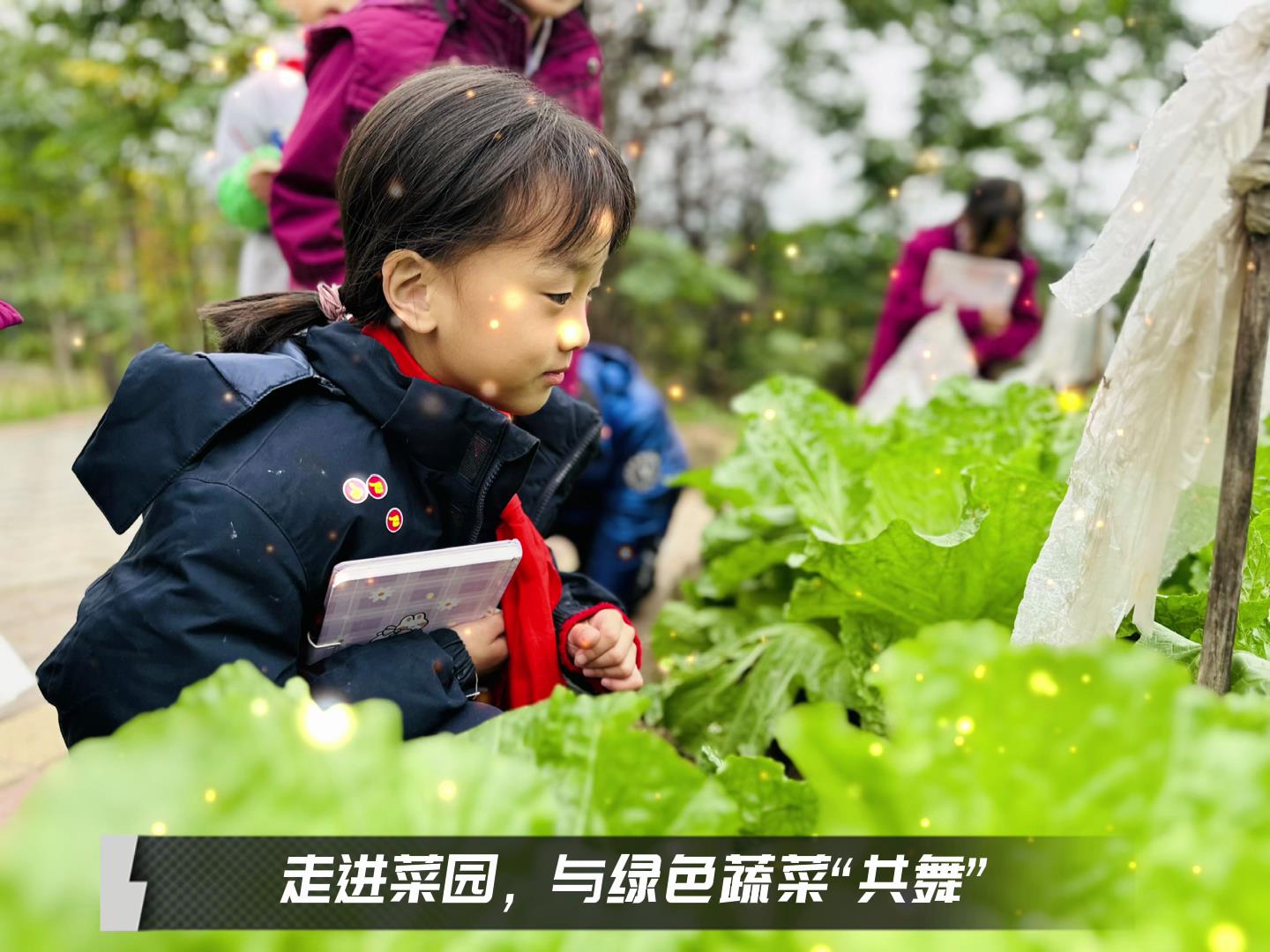 #美好學(xué)校|留校時光，走出教室，與綠色蔬菜共舞