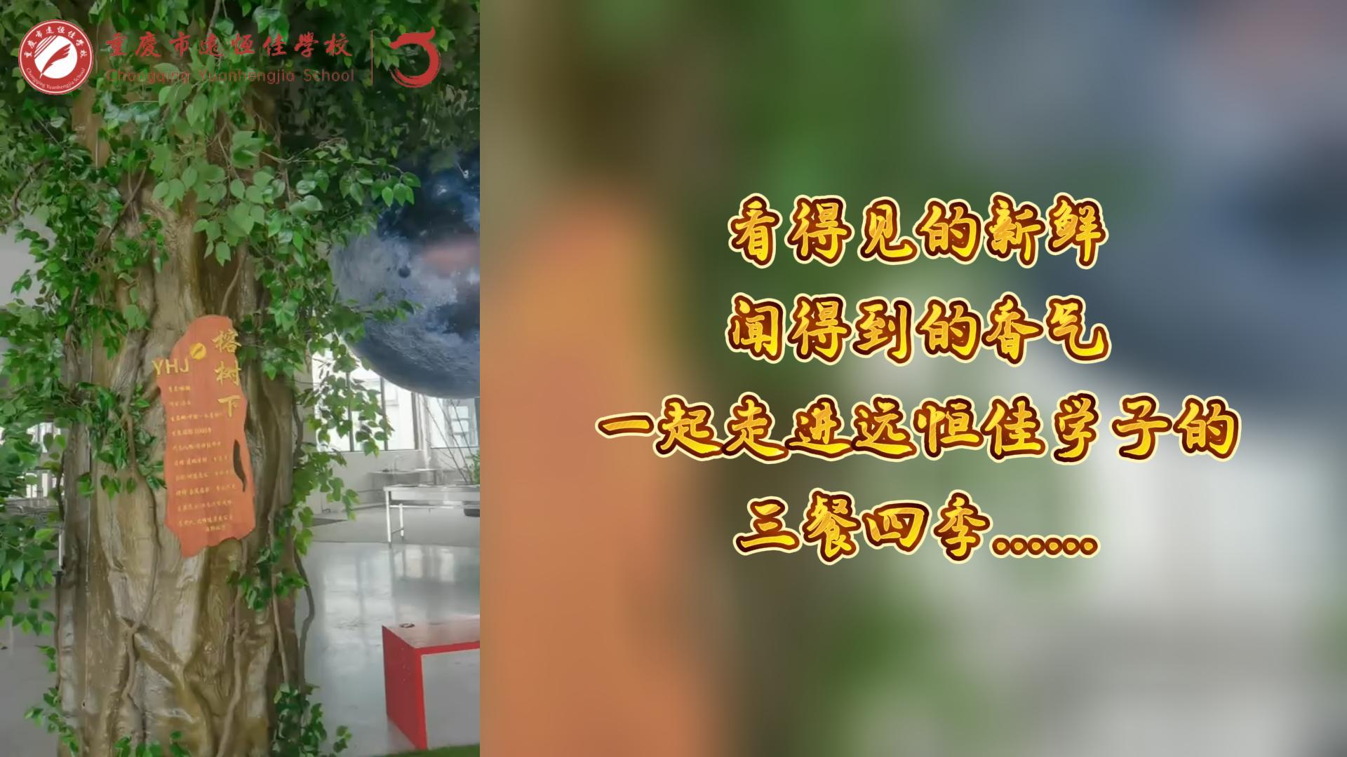 #美好學(xué)校|看得見的新鮮，聞得到的香味，一起走進(jìn)遠(yuǎn)恒佳學(xué)子的三餐四季!